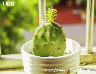 ǰܷ_ǰڷܿ?-ͼ1
