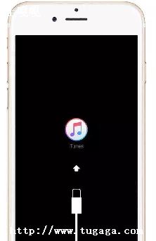 iphoneô,ƻֻǵĽ-ͼ1