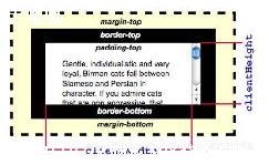 marginleftpaddingleft_marginpadding-ͼ3