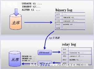 mysqlôдǶʽ-ͼ1
