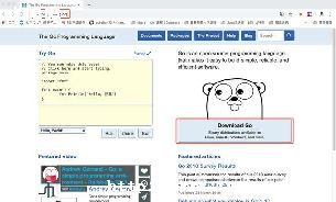 goջ_golanggo-ͼ1