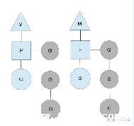 goԺ-ͼ2
