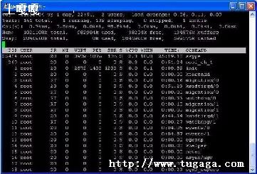 linuxcpuѯ_鿴cpuʹ linux-ͼ1