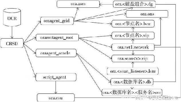 oracleԼ-ͼ1