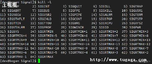 Linuxв鿴ź_linuxдȫ-ͼ1