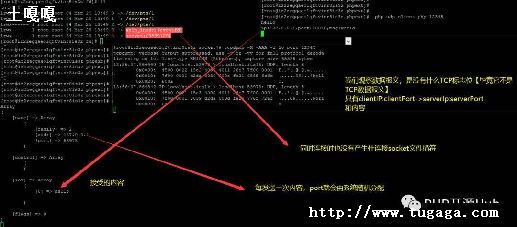 phpݵhtml-ͼ1